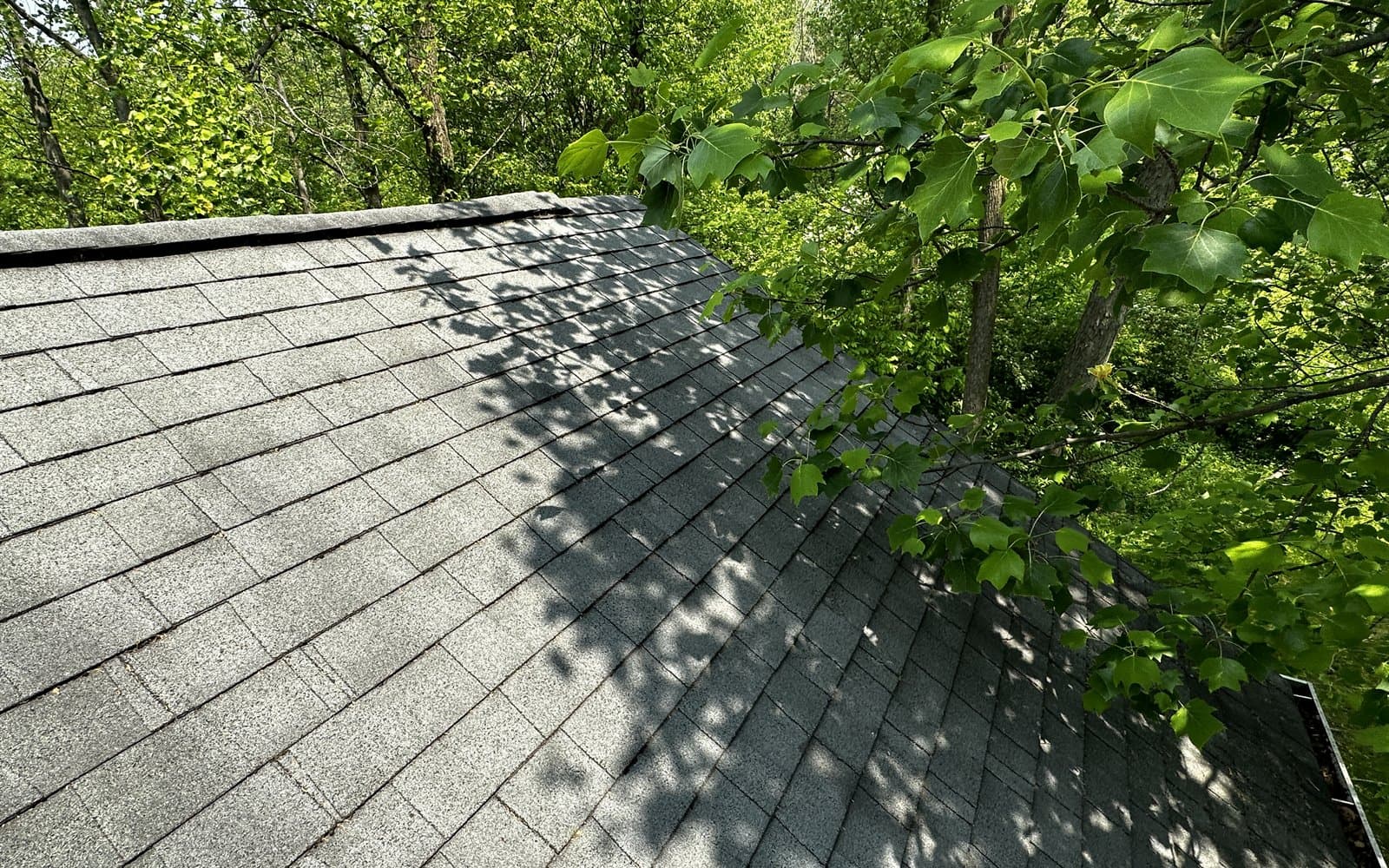 Roof shingles documented during a BNS Premier Restoration & Renovation field inspection