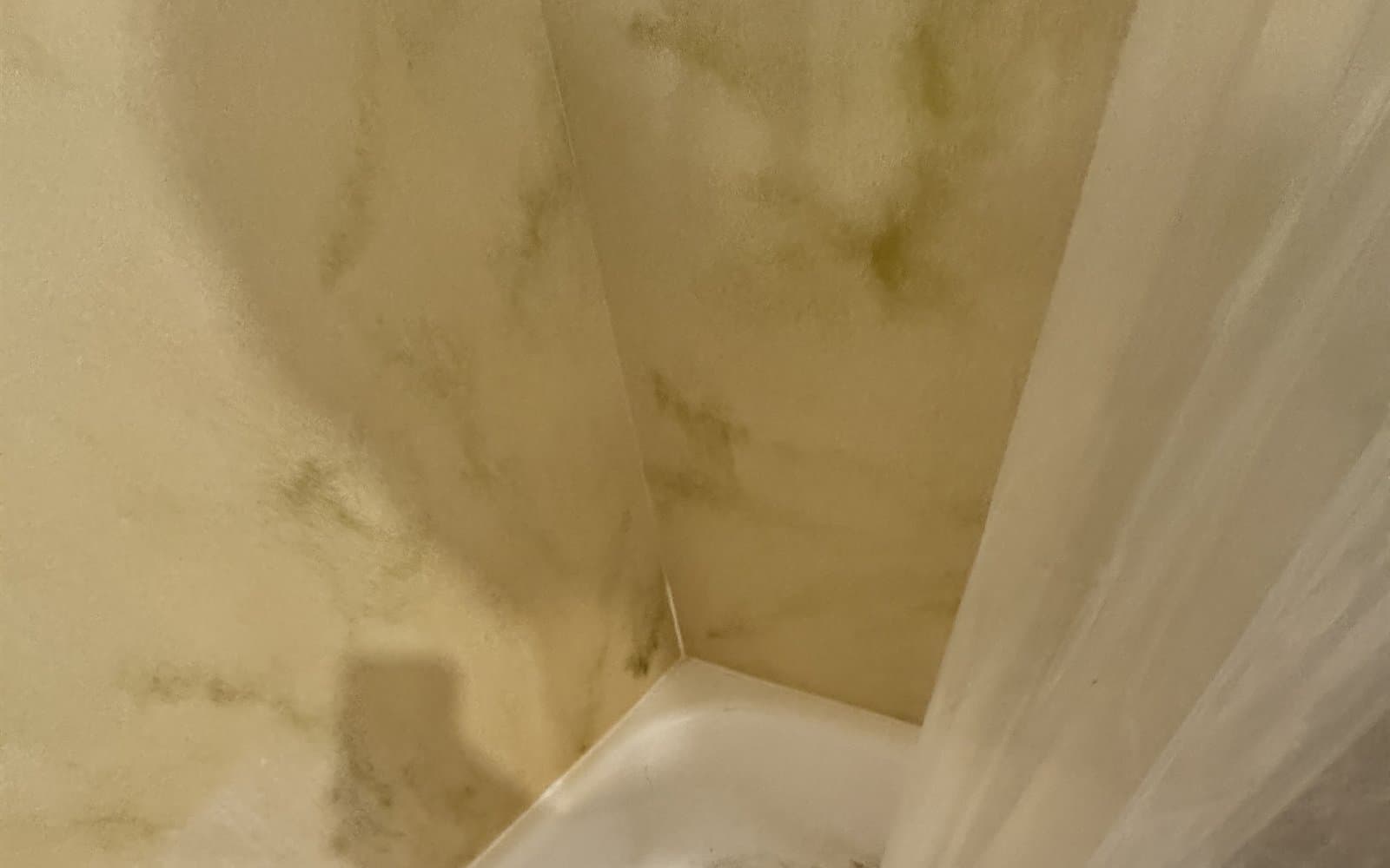 Moisture damage on an interior surface